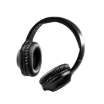 Earphones